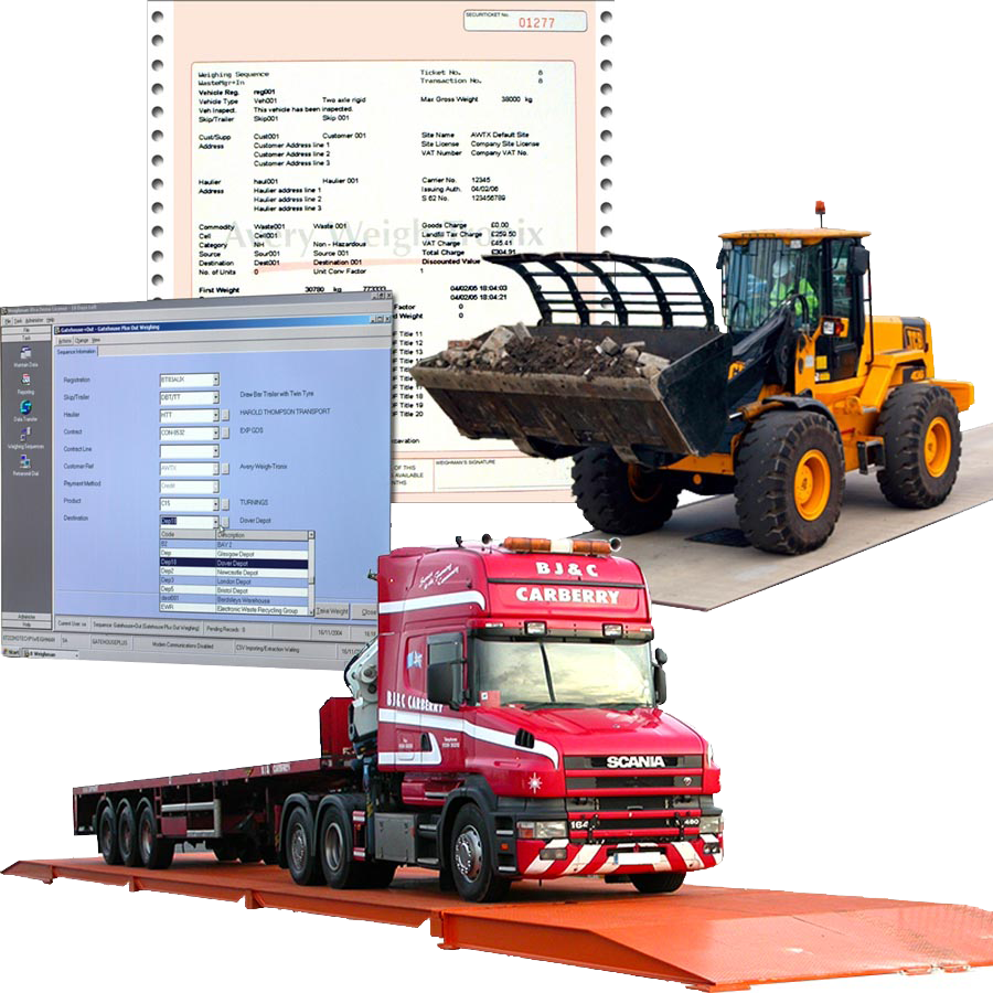 Γεφυροπλάστιγγες